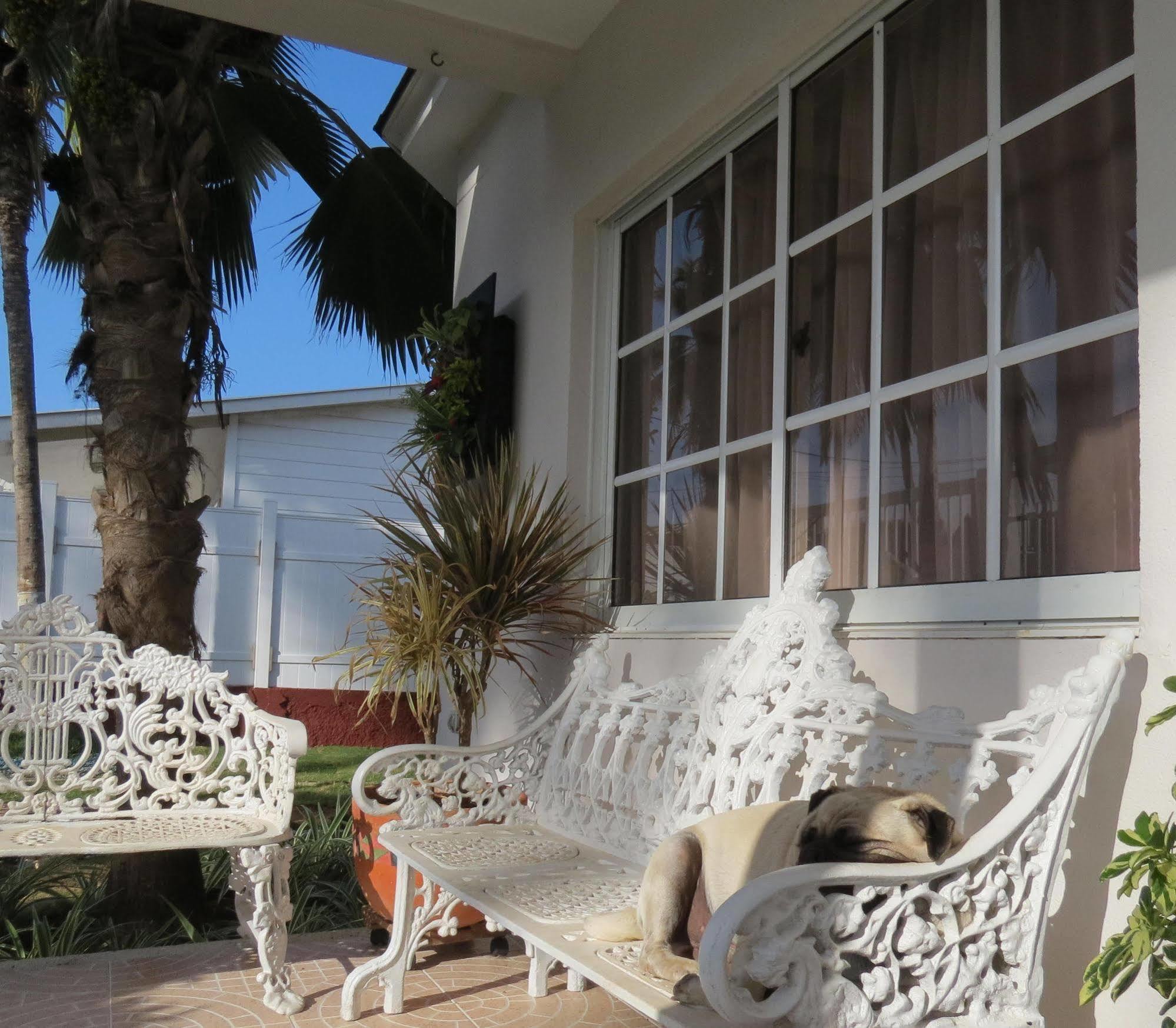 Hostal Mar Y Mar San Andrés Exteriér fotografie